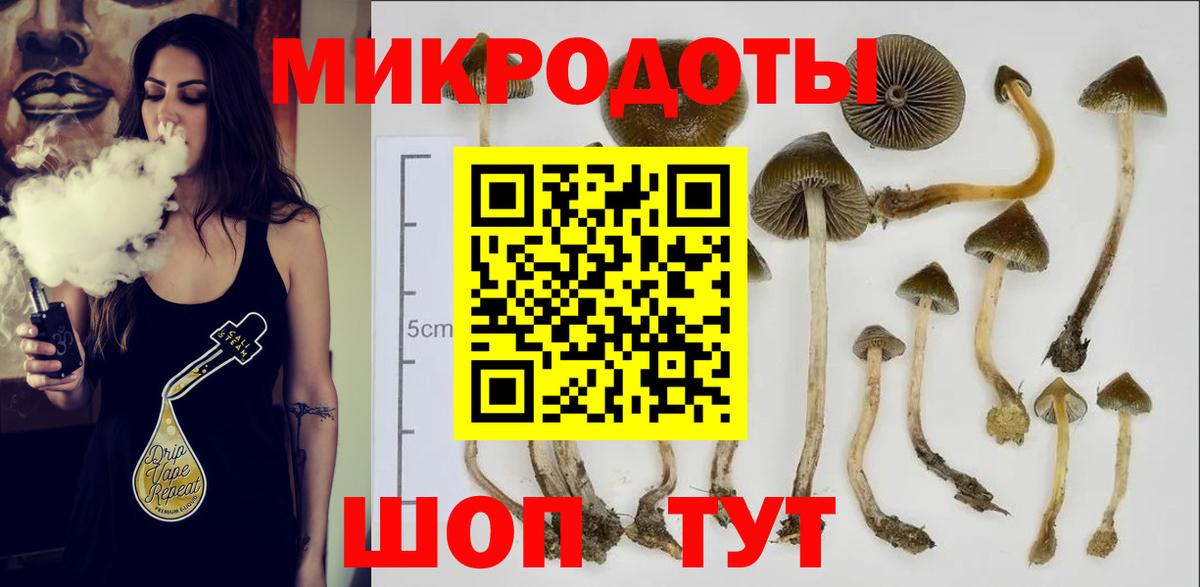 Новокубанск  Галлюциногенные грибы MAGIC MUSHROOMS  Вход с VPN 
